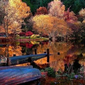 Meet your Posher, Johnny